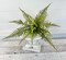 14" Artificial Green Wild Fern Bush - Faux Greenery for Arrangements - TCT Crafts - PF1700